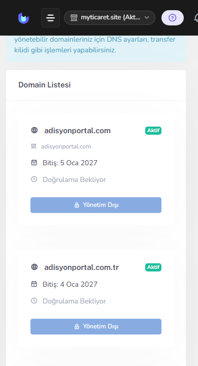 Adım 1 — Domainler ekranı — mobil