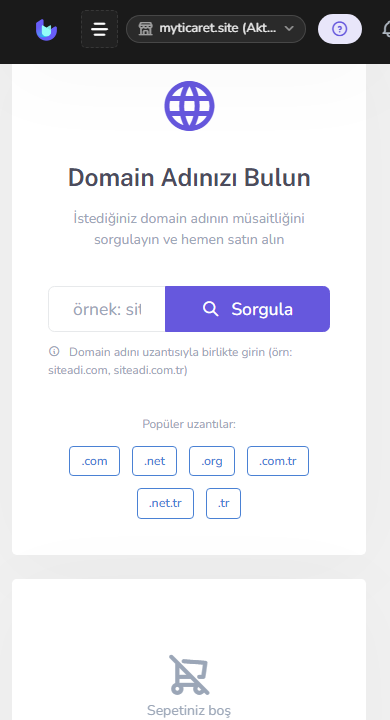 Adım 2 — Domain sorgula / satın al — mobil